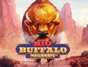game logo by Skywind Group on rollxos.ca