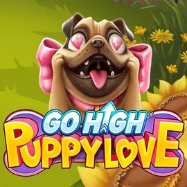 game logo by RubyPlay on rollxos.ca